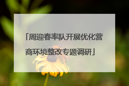 周迎春率队开展优化营商环境整改专题调研