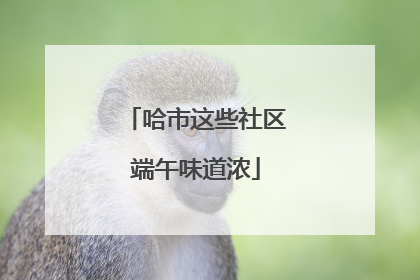 哈市这些社区端午味道浓