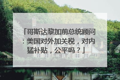 哥斯达黎加前总统顾问：美国对外加关税，对内猛补贴，公平吗？