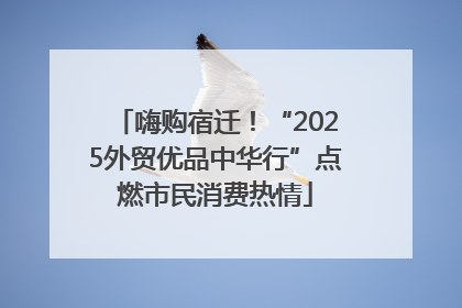 嗨购宿迁！“2025外贸优品中华行”点燃市民消费热情