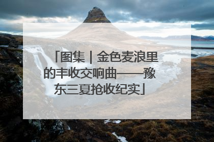 图集｜金色麦浪里的丰收交响曲——豫东三夏抢收纪实