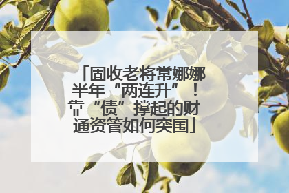 固收老将常娜娜半年“两连升”！靠“债”撑起的财通资管如何突围
