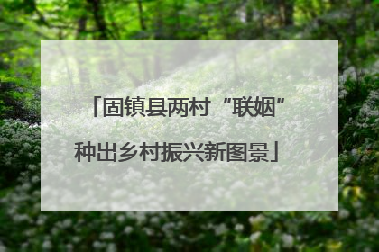 固镇县两村“联姻”种出乡村振兴新图景