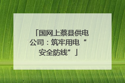 国网上蔡县供电公司：筑牢用电“安全防线”
