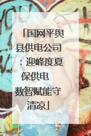 国网平舆县供电公司：迎峰度夏保供电  数智赋能守清凉