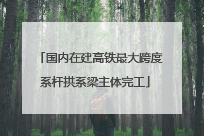 国内在建高铁最大跨度系杆拱系梁主体完工