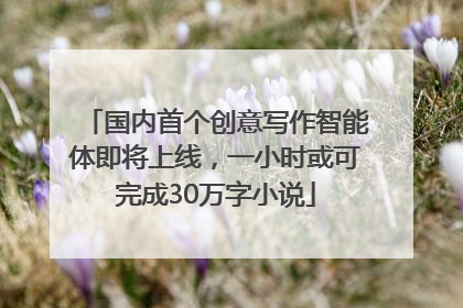国内首个创意写作智能体即将上线，一小时或可完成30万字小说