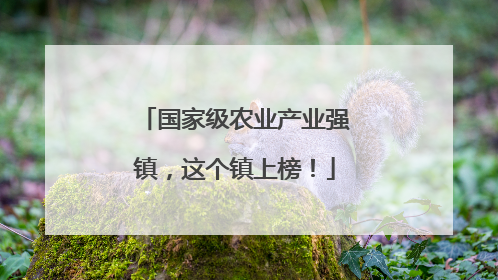 国家级农业产业强镇，这个镇上榜！