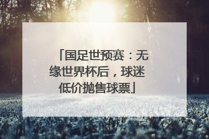 国足世预赛：无缘世界杯后，球迷低价抛售球票