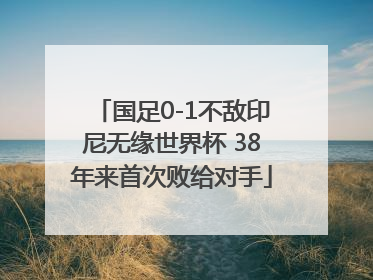 国足0-1不敌印尼无缘世界杯 38年来首次败给对手