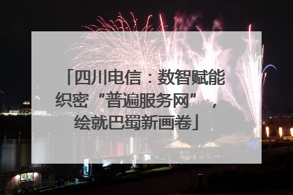 四川电信：数智赋能织密“普遍服务网”，绘就巴蜀新画卷