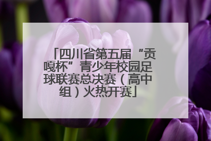 四川省第五届“贡嘎杯”青少年校园足球联赛总决赛（高中组）火热开赛
