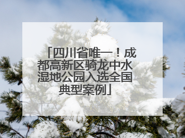 四川省唯一！成都高新区骑龙中水湿地公园入选全国典型案例