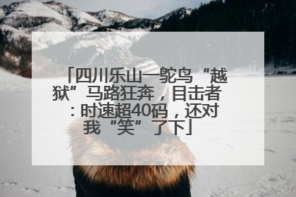 四川乐山一鸵鸟“越狱”马路狂奔，目击者：时速超40码，还对我“笑”了下