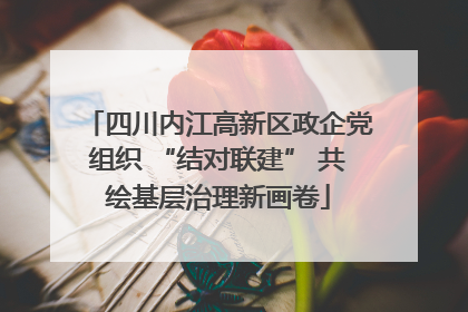 四川内江高新区政企党组织 “结对联建” 共绘基层治理新画卷