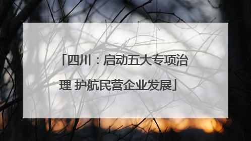 四川：启动五大专项治理 护航民营企业发展