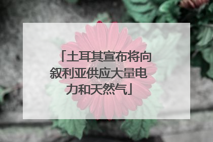 土耳其宣布将向叙利亚供应大量电力和天然气
