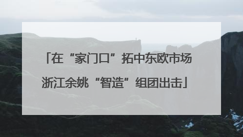 在“家门口”拓中东欧市场 浙江余姚“智造”组团出击