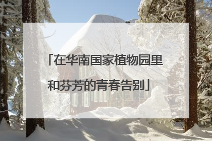 在华南国家植物园里和芬芳的青春告别