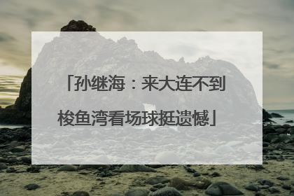 孙继海：来大连不到梭鱼湾看场球挺遗憾