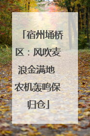 宿州埇桥区：风吹麦浪金满地 农机轰鸣保归仓