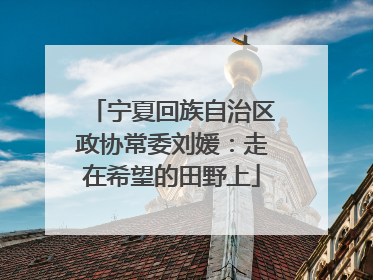 宁夏回族自治区政协常委刘媛：走在希望的田野上