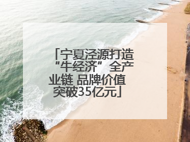 宁夏泾源打造“牛经济”全产业链 品牌价值突破35亿元