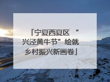 宁夏西夏区 “兴泾黄牛节”绘就乡村振兴新画卷