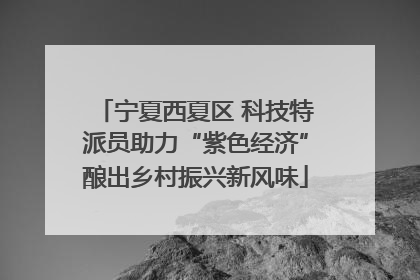 宁夏西夏区 科技特派员助力“紫色经济”酿出乡村振兴新风味