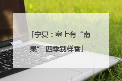 宁夏：塞上有“南果” 四季别样香