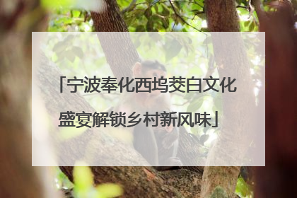 宁波奉化西坞茭白文化盛宴解锁乡村新风味