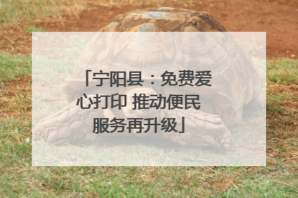 宁阳县：免费爱心打印 推动便民服务再升级