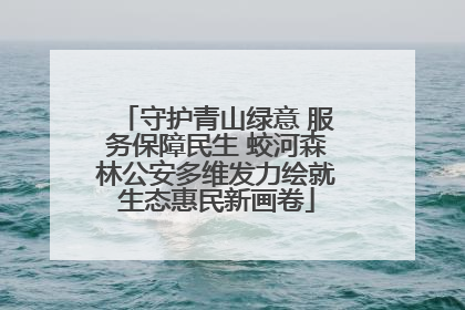 守护青山绿意 服务保障民生 蛟河森林公安多维发力绘就生态惠民新画卷