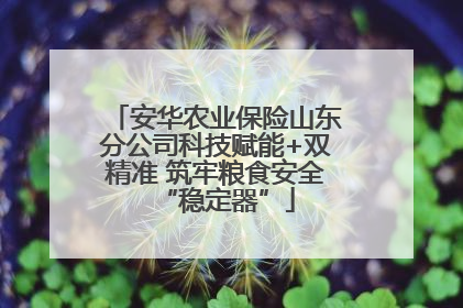 安华农业保险山东分公司科技赋能+双精准 筑牢粮食安全“稳定器”