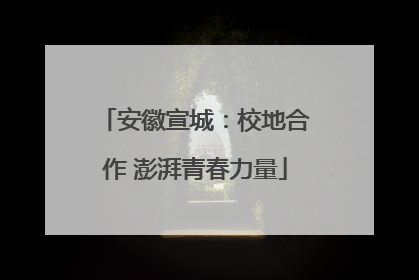 安徽宣城：校地合作 澎湃青春力量