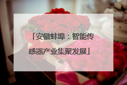 安徽蚌埠：智能传感器产业集聚发展