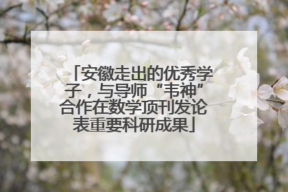 安徽走出的优秀学子，与导师“韦神”合作在数学顶刊发论表重要科研成果