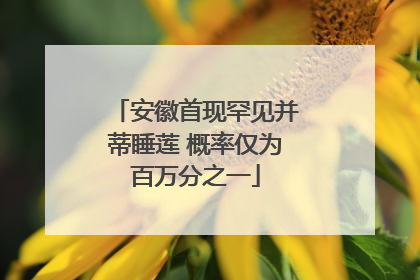 安徽首现罕见并蒂睡莲 概率仅为百万分之一