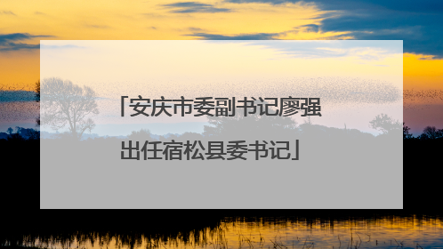 安庆市委副书记廖强出任宿松县委书记
