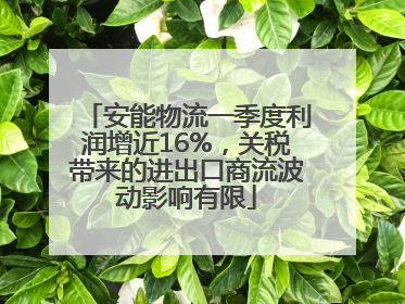 安能物流一季度利润增近16%，关税带来的进出口商流波动影响有限