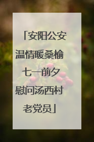 安阳公安温情暖桑榆 七一前夕慰问汤西村老党员