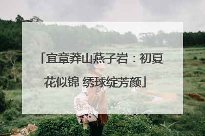 宜章莽山燕子岩：初夏花似锦 绣球绽芳颜