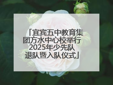 宜宾五中教育集团方水中心校举行2025年少先队退队暨入队仪式