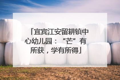宜宾江安留耕镇中心幼儿园：“芒”有所获，学有所得