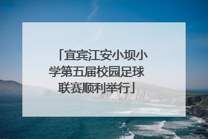 宜宾江安小坝小学第五届校园足球联赛顺利举行