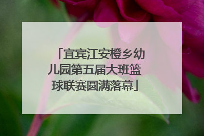 宜宾江安橙乡幼儿园第五届大班篮球联赛圆满落幕