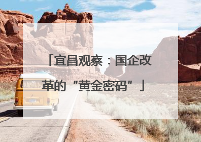 宜昌观察：国企改革的“黄金密码”