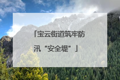 宝云街道筑牢防汛“安全堤”