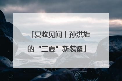 夏收见闻丨孙洪旗的“三夏”新装备