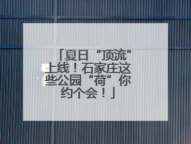 夏日“顶流”上线！石家庄这些公园“荷”你约个会！